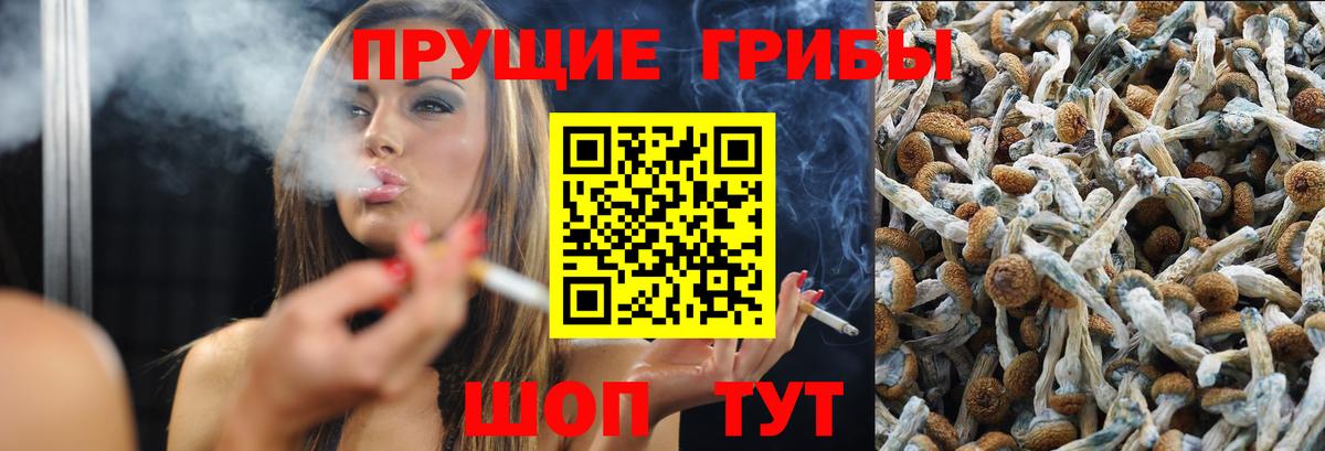 Галлюциногенные грибы Cubensis Тольятти
