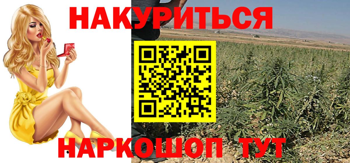 Каннабис индика  Вход с VPN  Каннабис OG Kush  Тольятти 
